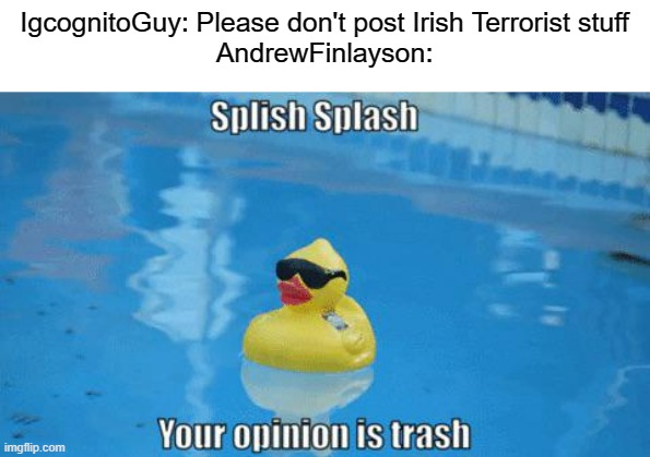How did this man get a community mod again? | IgcognitoGuy: Please don't post Irish Terrorist stuff
AndrewFinlayson: | image tagged in splish splash your opinion is trash,immature | made w/ Imgflip meme maker