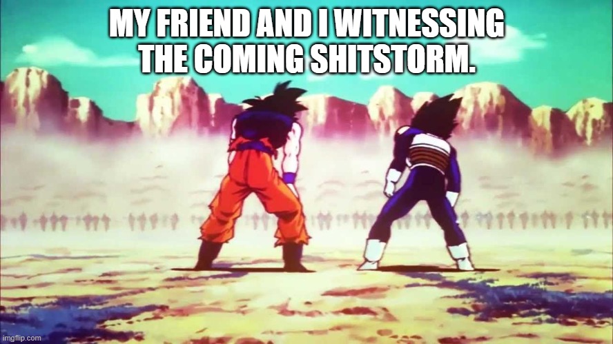 Goku and Vegeta VS Cooler Army | MY FRIEND AND I WITNESSING THE COMING SHITSTORM. | image tagged in goku and vegeta vs cooler army | made w/ Imgflip meme maker