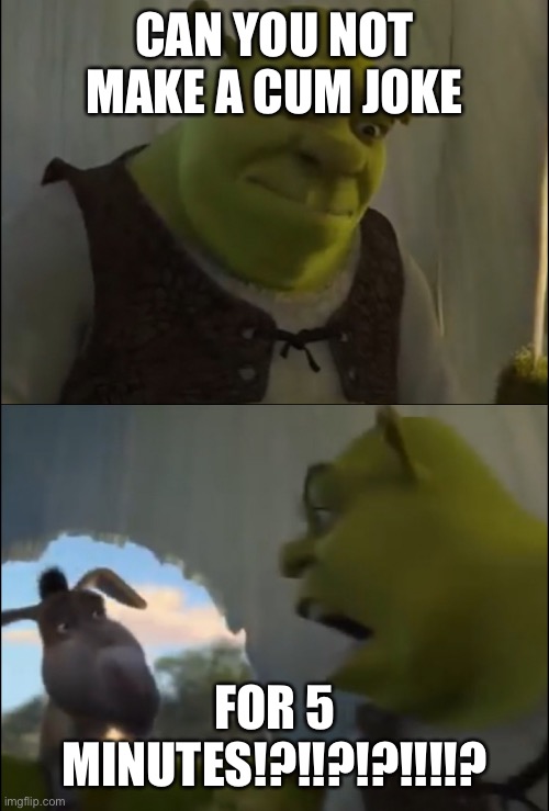 Shrek yelling at donkey | CAN YOU NOT MAKE A CUM JOKE FOR 5 MINUTES!?!!?!?!!!!? | image tagged in shrek yelling at donkey | made w/ Imgflip meme maker