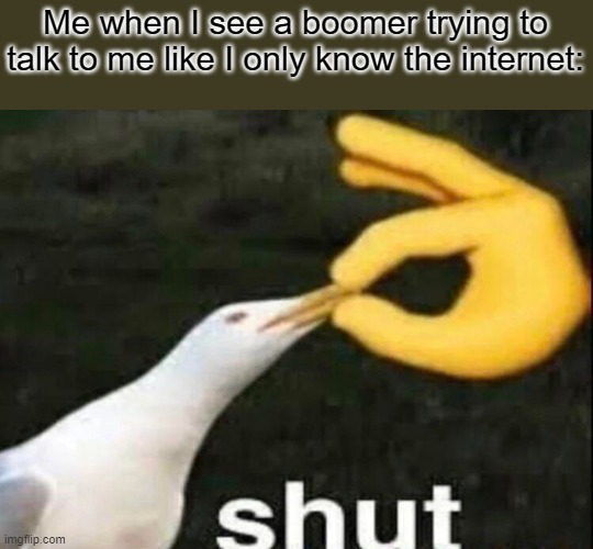 SHUT | Me when I see a boomer trying to talk to me like I only know the internet: | image tagged in shut | made w/ Imgflip meme maker