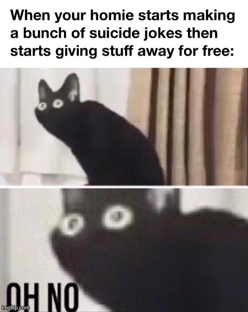 This is no good | image tagged in oh no cat,dark humor,suicide,uh oh,free stuff | made w/ Imgflip meme maker