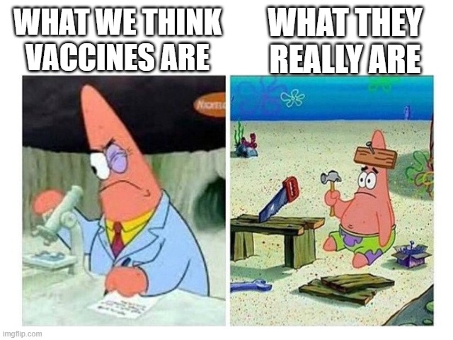 Patrick Scientist vs. Nail | WHAT THEY REALLY ARE; WHAT WE THINK VACCINES ARE | image tagged in patrick scientist vs nail | made w/ Imgflip meme maker