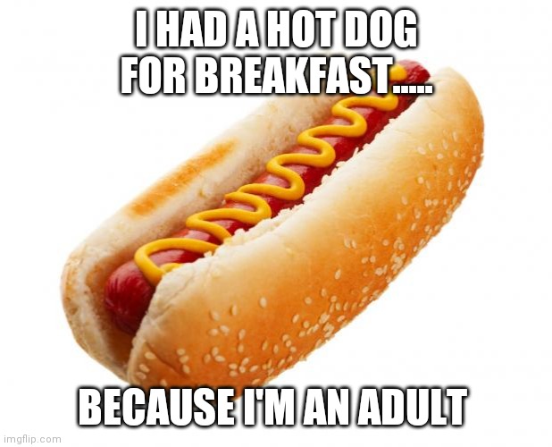 Hot dog  | I HAD A HOT DOG FOR BREAKFAST..... BECAUSE I'M AN ADULT | image tagged in hot dog | made w/ Imgflip meme maker