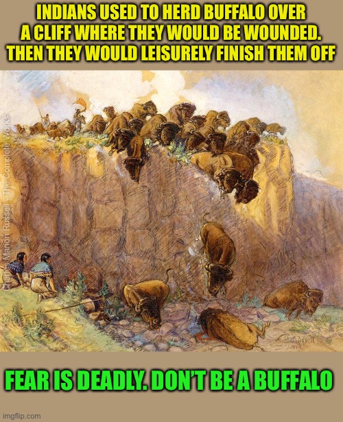 Fear has always been used to herd the unthinking | INDIANS USED TO HERD BUFFALO OVER A CLIFF WHERE THEY WOULD BE WOUNDED. THEN THEY WOULD LEISURELY FINISH THEM OFF; FEAR IS DEADLY. DON’T BE A BUFFALO | image tagged in elitist,globalists,useful idiots,fear kills,democratic socialism,dont be a buffalo | made w/ Imgflip meme maker