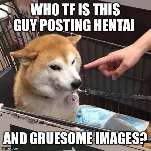 No horny | WHO TF IS THIS GUY POSTING HENTAI; AND GRUESOME IMAGES? | image tagged in no horny | made w/ Imgflip meme maker