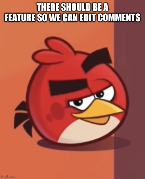 Smug Red | THERE SHOULD BE A FEATURE SO WE CAN EDIT COMMENTS | image tagged in smug red | made w/ Imgflip meme maker