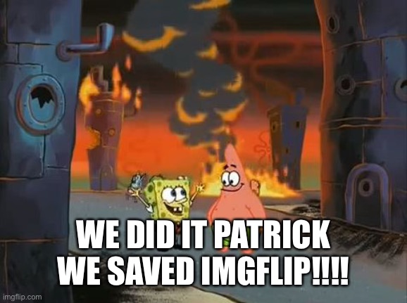 When we banned that weirdo | WE DID IT PATRICK WE SAVED IMGFLIP!!!! | image tagged in we did it patrick we saved the city | made w/ Imgflip meme maker