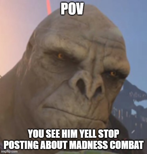 Craig | POV; YOU SEE HIM YELL STOP POSTING ABOUT MADNESS COMBAT | image tagged in craig | made w/ Imgflip meme maker