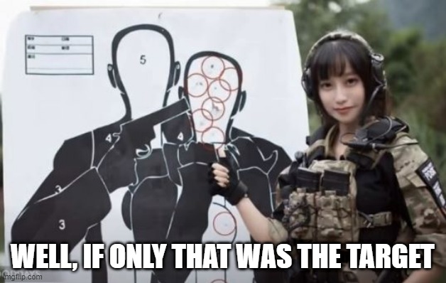 Innocent Victim | WELL, IF ONLY THAT WAS THE TARGET | image tagged in you had one job | made w/ Imgflip meme maker