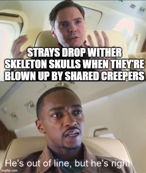 It's true |  STRAYS DROP WITHER SKELETON SKULLS WHEN THEY'RE BLOWN UP BY SHARED CREEPERS | image tagged in he's out of line but he's right | made w/ Imgflip meme maker
