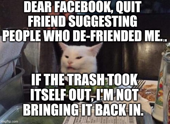 Salad cat | DEAR FACEBOOK, QUIT FRIEND SUGGESTING PEOPLE WHO DE-FRIENDED ME. J M; IF THE TRASH TOOK ITSELF OUT, I'M NOT BRINGING IT BACK IN. | image tagged in salad cat | made w/ Imgflip meme maker