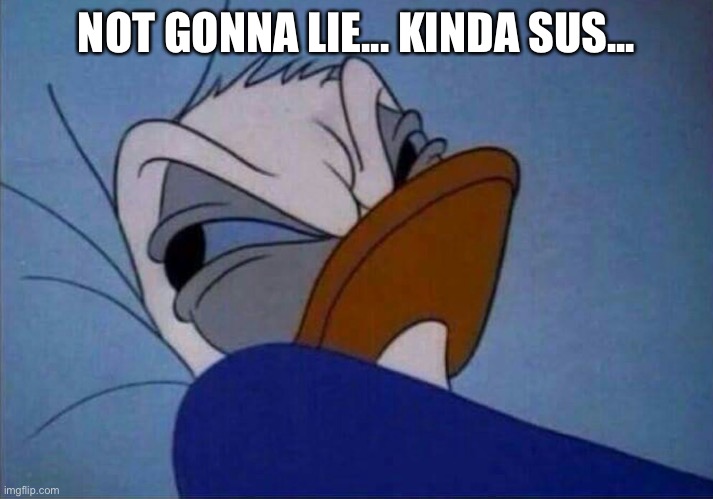 angry donald duck  | NOT GONNA LIE... KINDA SUS... | image tagged in angry donald duck | made w/ Imgflip meme maker