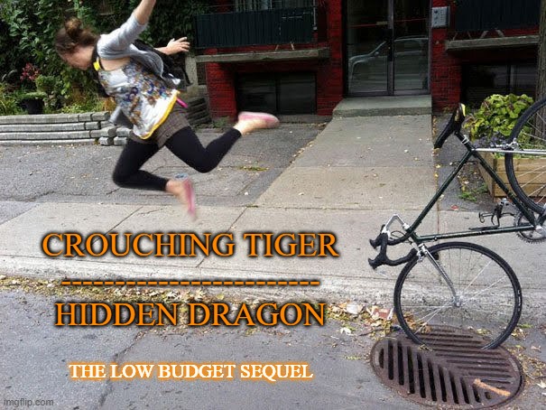 Crouching Tiger, Hidden Dragon: the low budget sequel | CROUCHING TIGER
------------------------
HIDDEN DRAGON; THE LOW BUDGET SEQUEL | image tagged in fall,movie,real life | made w/ Imgflip meme maker