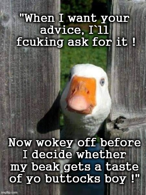 "...yo buttocks boy !" | "When I want your
advice, I`ll
 fcuking ask for it ! Now wokey off before
I decide whether
my beak gets a taste
of yo buttocks boy !" | image tagged in untitled goose peace was never an option | made w/ Imgflip meme maker