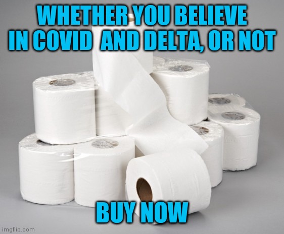 You already know what's coming | WHETHER YOU BELIEVE IN COVID  AND DELTA, OR NOT; BUY NOW | image tagged in toilet paper | made w/ Imgflip meme maker