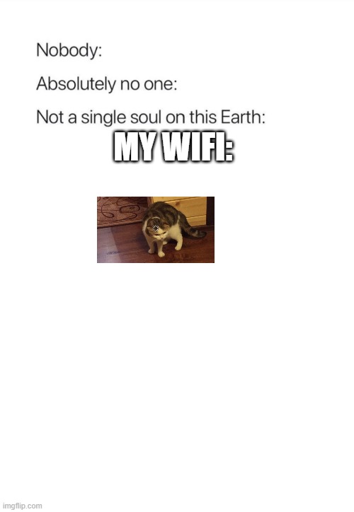 Haha wifi go brrr |  MY WIFI: | image tagged in nobody absolutely no one,buffering cat,wifi | made w/ Imgflip meme maker