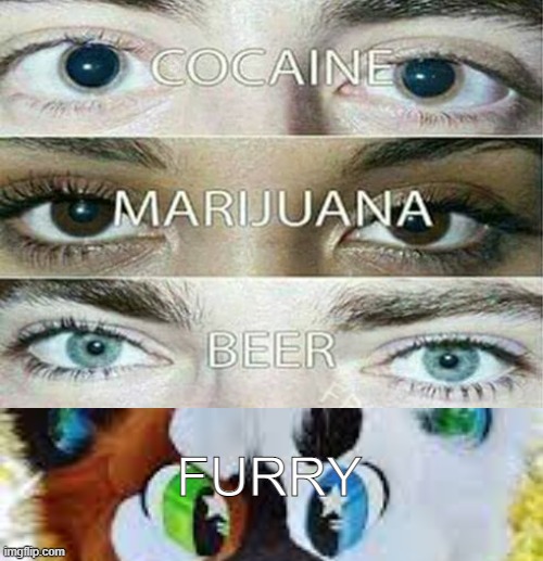 idk wut to call this | FURRY | image tagged in eye effect,furry,drugs,why did i make this | made w/ Imgflip meme maker