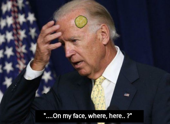 Dummy Joe | "....On my face, where, here.. ?" | image tagged in dummy joe,memes,creepy joe biden,funny memes,political meme | made w/ Imgflip meme maker