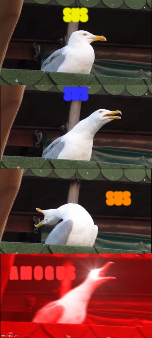 Inhaling Seagull | SUS; SUS; SUS; A M O G U S | image tagged in memes,inhaling seagull | made w/ Imgflip meme maker