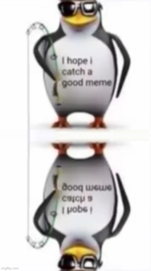 Lol | image tagged in i hope i catch a good meme | made w/ Imgflip meme maker