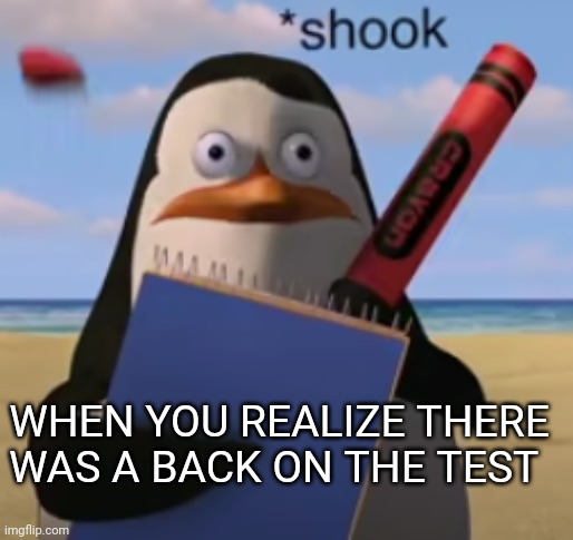 *shook* | WHEN YOU REALIZE THERE WAS A BACK ON THE TEST | image tagged in shook,oh wow are you actually reading these tags | made w/ Imgflip meme maker