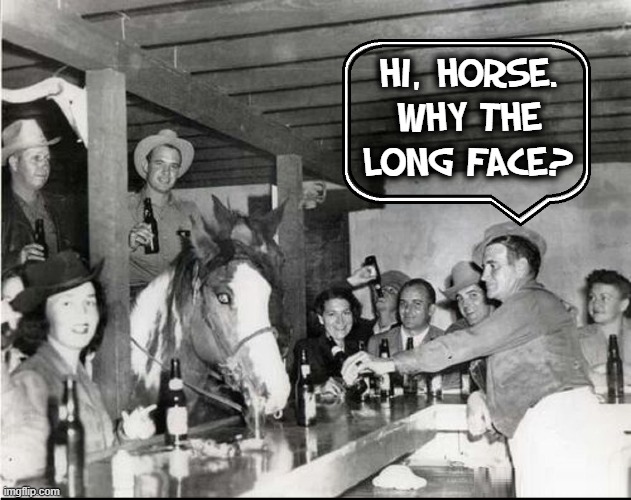 This Horse Walks into a Bar and the Bartender Says... | HI, HORSE.
WHY THE
LONG FACE? | image tagged in vince vance,horse,memes,bar,horseplay,long face | made w/ Imgflip meme maker