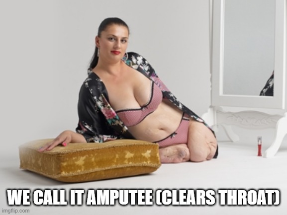 Amputee | WE CALL IT AMPUTEE (CLEARS THROAT) | image tagged in amputee | made w/ Imgflip meme maker
