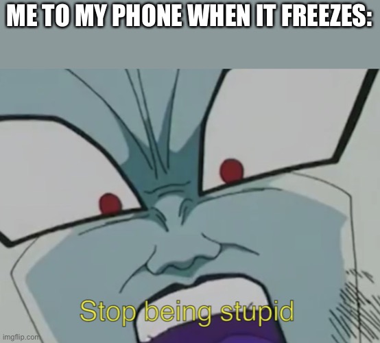 Stop being stupid | ME TO MY PHONE WHEN IT FREEZES: | image tagged in stop being stupid | made w/ Imgflip meme maker