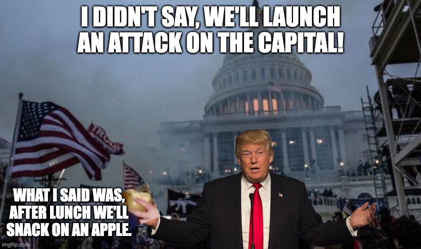 misconstrued coup | I DIDN'T SAY, WE'LL LAUNCH AN ATTACK ON THE CAPITAL! WHAT I SAID WAS, AFTER LUNCH WE'LL SNACK ON AN APPLE. | image tagged in misconstrued coup | made w/ Imgflip meme maker