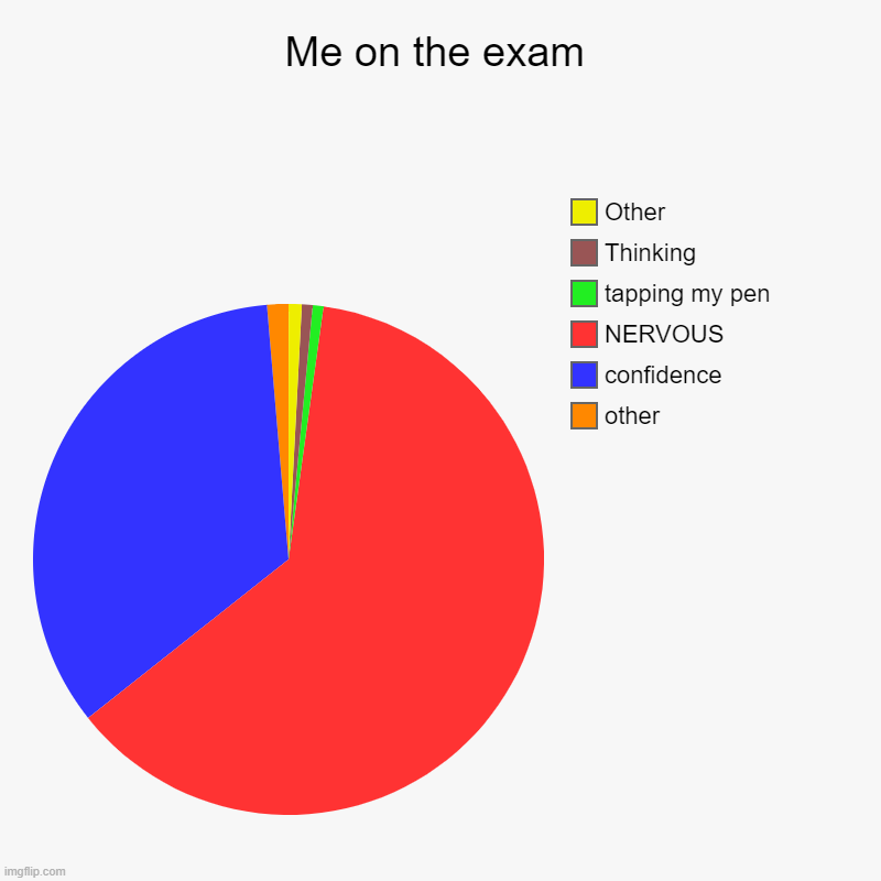 me on the exam (please i want to survive) | Me on the exam | other, confidence, NERVOUS, tapping my pen, Thinking, Other | image tagged in charts,pie charts | made w/ Imgflip chart maker