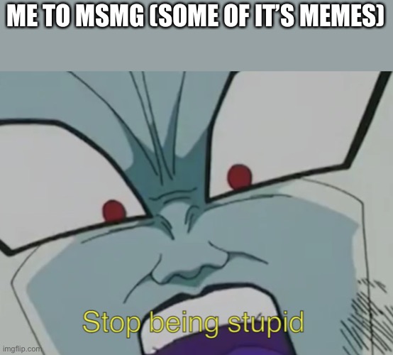 Stop being stupid | ME TO MSMG (SOME OF IT’S MEMES) | image tagged in stop being stupid | made w/ Imgflip meme maker