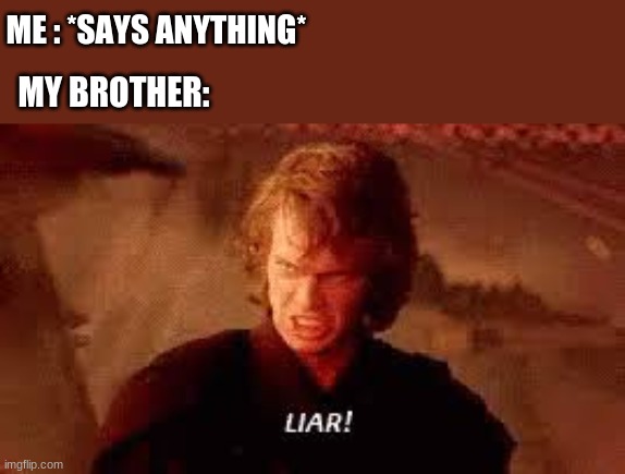 Anakin Liar | ME : *SAYS ANYTHING*; MY BROTHER: | image tagged in anakin liar | made w/ Imgflip meme maker
