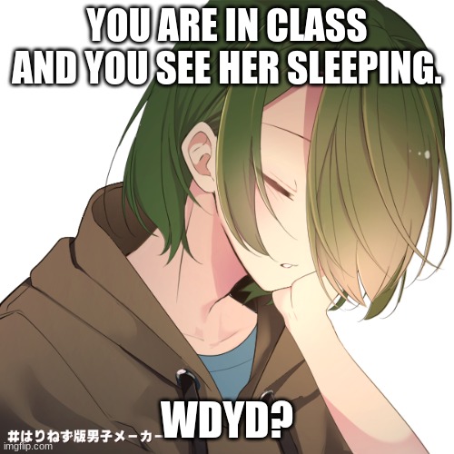 If you/your oc is a student please make them 12-13, if they are visiting the class for some reason, any age. | YOU ARE IN CLASS AND YOU SEE HER SLEEPING. WDYD? | image tagged in oh wow are you actually reading these tags,bored,boredom | made w/ Imgflip meme maker