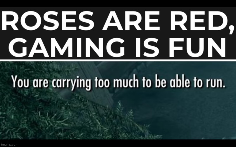”you are carrying too much to be able to run.” lol | image tagged in gaming,you are carrying too much to be able to run | made w/ Imgflip meme maker