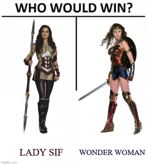 An Asgardian VS an Amazonian warrior | WONDER WOMAN; LADY SIF | image tagged in memes,who would win,marvel,dc,wonder woman | made w/ Imgflip meme maker