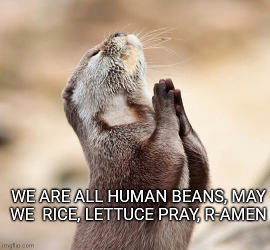 Lol | WE ARE ALL HUMAN BEANS, MAY WE  RICE, LETTUCE PRAY, R-AMEN | image tagged in animal praying | made w/ Imgflip meme maker