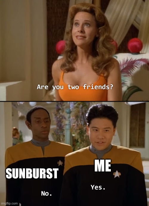 Rip | SUNBURST; ME | image tagged in are you friends | made w/ Imgflip meme maker
