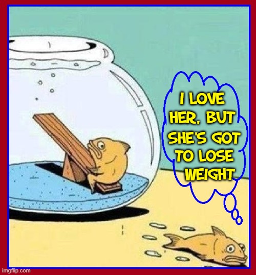 Not Speaking Up Can Leave You Like a Fish Out of Water |  I LOVE HER, BUT; SHE'S GOT
TO LOSE
  WEIGHT | image tagged in vince vance,goldfish,bowl,seesaw,memes,dieting | made w/ Imgflip meme maker