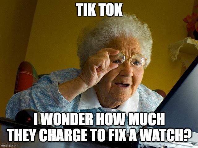 Grandma Finds The Internet Meme | TIK TOK; I WONDER HOW MUCH THEY CHARGE TO FIX A WATCH? | image tagged in memes,grandma finds the internet | made w/ Imgflip meme maker