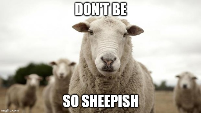 Sheep | DON'T BE SO SHEEPISH | image tagged in sheep | made w/ Imgflip meme maker