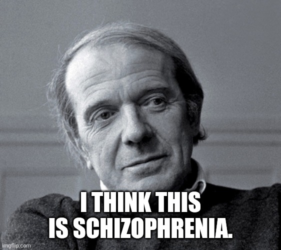 Gilles Deleuze | I THINK THIS IS SCHIZOPHRENIA. | image tagged in gilles deleuze | made w/ Imgflip meme maker