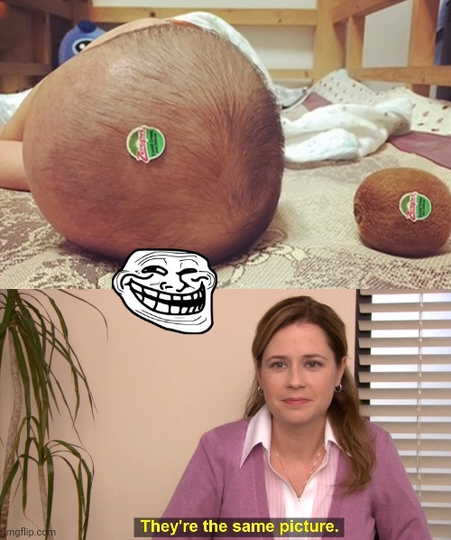 They're the same picture | image tagged in memes,they're the same picture | made w/ Imgflip meme maker