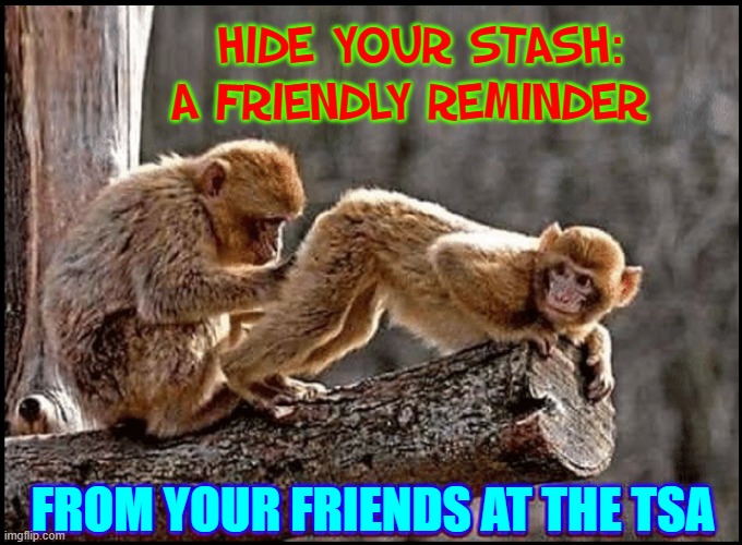 "As kids, we really liked Scavenger Hunt." |  HIDE YOUR STASH: A FRIENDLY REMINDER; FROM YOUR FRIENDS AT THE TSA | image tagged in vince vance,memes,curious george,monkeys,tsa,drugs | made w/ Imgflip meme maker