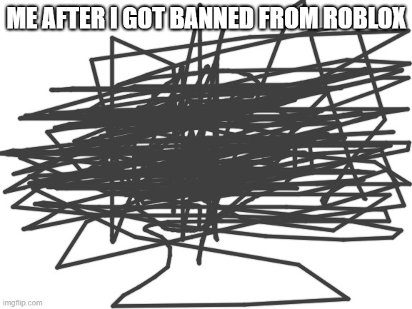 Blank White Template | ME AFTER I GOT BANNED FROM ROBLOX | image tagged in blank white template | made w/ Imgflip meme maker