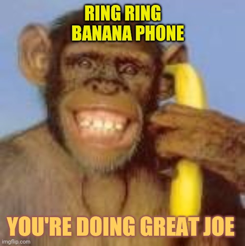 It's only racist if you are | RING RING
   BANANA PHONE YOU'RE DOING GREAT JOE | image tagged in monkey banana phone,politics,you wouldn't get it | made w/ Imgflip meme maker