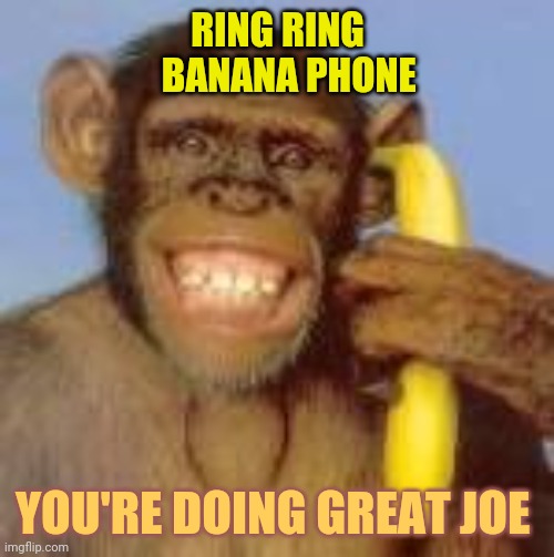 It's only racist if you are | RING RING
   BANANA PHONE; YOU'RE DOING GREAT JOE | image tagged in monkey banana phone,politics,you wouldn't get it | made w/ Imgflip meme maker