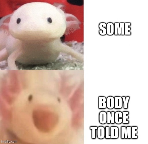 Reeeee | SOME; BODY ONCE TOLD ME | image tagged in axolotl | made w/ Imgflip meme maker