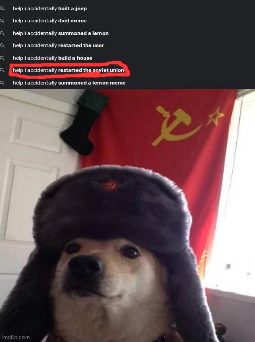 Russian Doge | image tagged in russian doge,soviet union,funny memes,help i accidentally | made w/ Imgflip meme maker