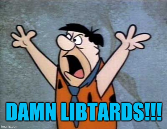 Fred Flintstone | DAMN LIBTARDS!!! | image tagged in fred flintstone | made w/ Imgflip meme maker