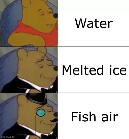 Fancy pooh | Water; Melted ice; Fish air | image tagged in fancy pooh | made w/ Imgflip meme maker